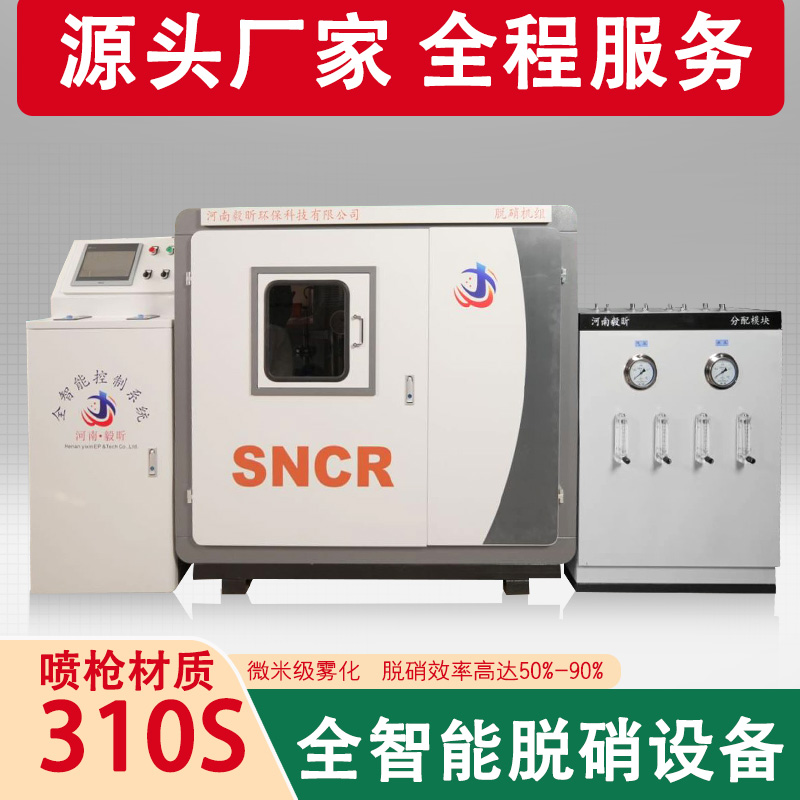 双泵SNCR、SCR成套脱硝系统设备